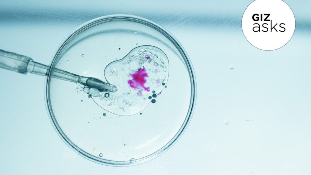 When Will Genetically Modifying Our Children Go Mainstream?